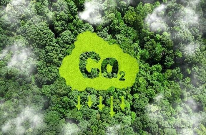 Phân cấp thẩm quyền cấp tài khoản Hệ thống đăng ký quốc gia về hạn ngạch phát thải khí nhà kính và tín chỉ các-bon - Ảnh minh họa