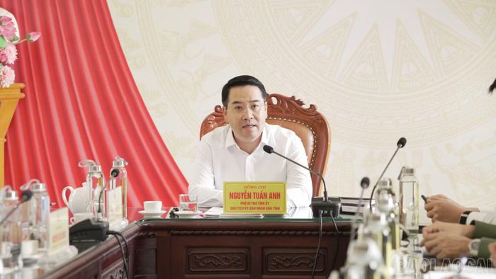 Chủ tịch UBND tỉnh Nguyễn Tuấn Anh kết luận buổi làm việc.