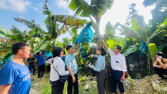 Đoàn công tác xã Chế Tạo tổ chức tham quan, học tập kinh nghiệm tại xã Mường Khương.