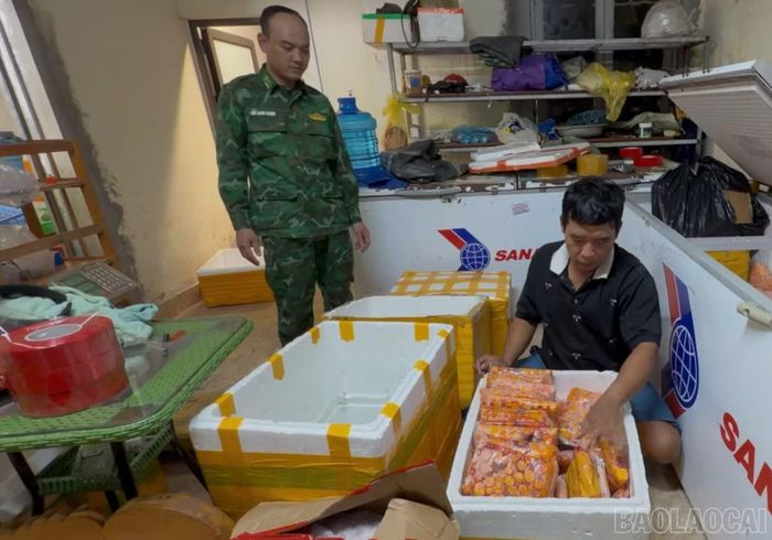 Lực lượng Biên phòng khám xét kho chứa hàng.