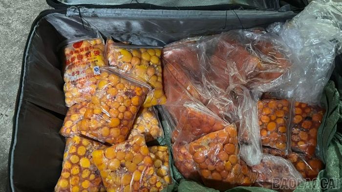 Trứng gà non được phát hiện trong một chiếc balo.