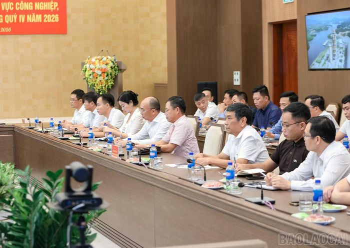 Các đại biểu dự buổi làm việc.