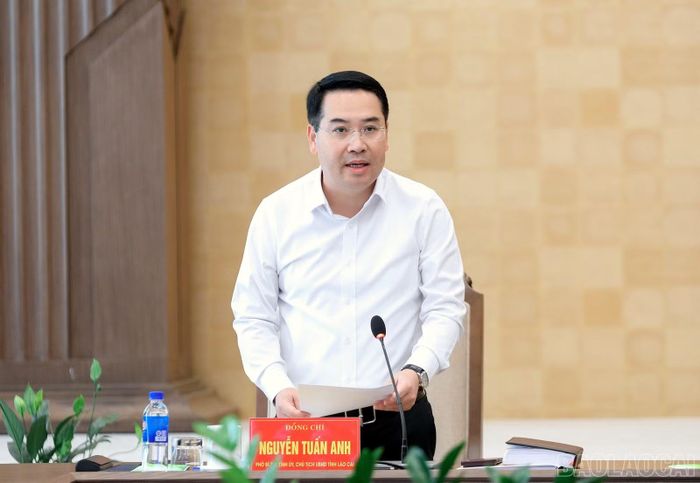 Chủ tịch UBND tỉnh Nguyễn Tuấn Anh phát biểu kết luận hội nghị.