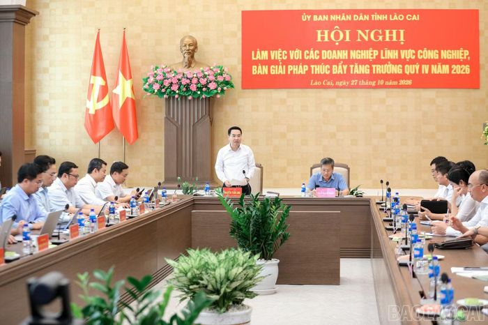 Chủ tịch UBND tỉnh Nguyễn Tuấn Anh phát biểu định hướng tại hội nghị.