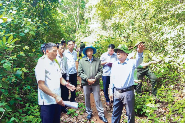 Phó Chủ tịch HĐND tỉnh Y Quang BKrông kiểm tra công tác quản lý, bảo vệ rừng tại các tiểu khu dọc vành đai biên giới. Ảnh tư liệu