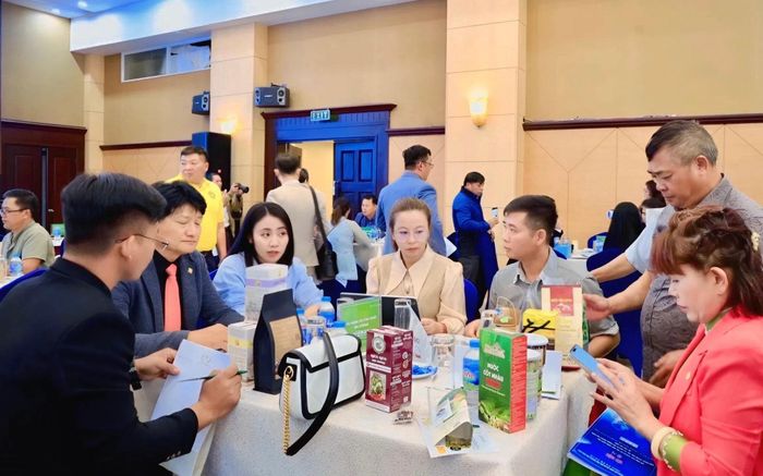 Đại diện các doanh nghiệp Lâm Đồng và Hàn Quốc gặp gỡ, trao đổi và tìm kiếm cơ hội hợp tác