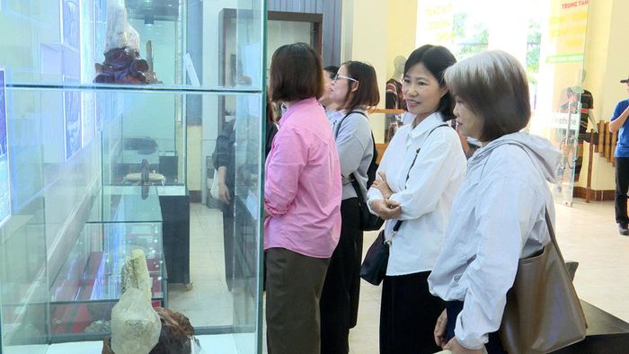 Các chuyên gia, cán bộ, công chức làm công tác quản lý tham quan khu trưng bày hiện vật CVĐCTC Đắk Nông