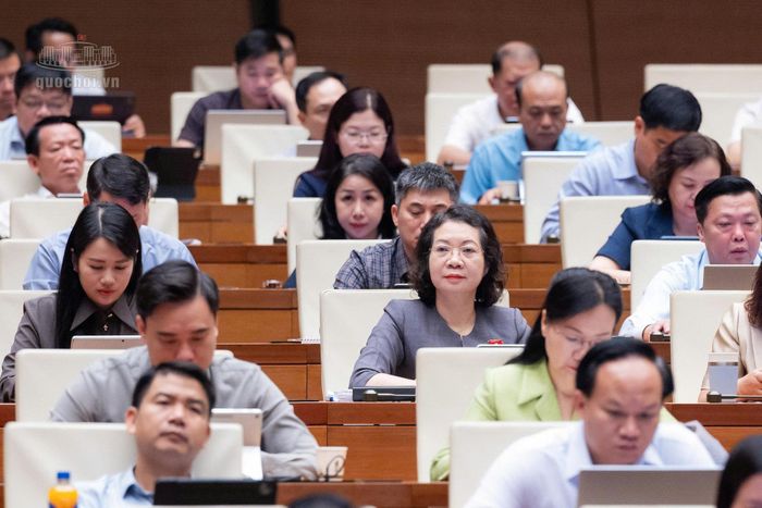 Các đại biểu tham dự phiên thảo luận. (Ảnh: Quốc hội)