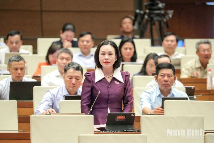 Đại biểu Trần Thị Hồng Thanh, Tỉnh ủy viên, Phó Trưởng Đoàn chuyên trách Đoàn ĐBQH tỉnh Ninh Bình phát biểu thảo luận tại Hội trường.