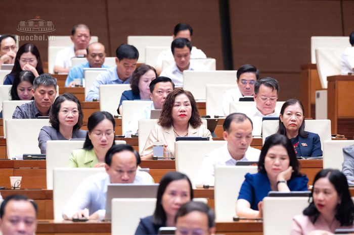 Đại biểu dự phiên họp tại Hội trường.