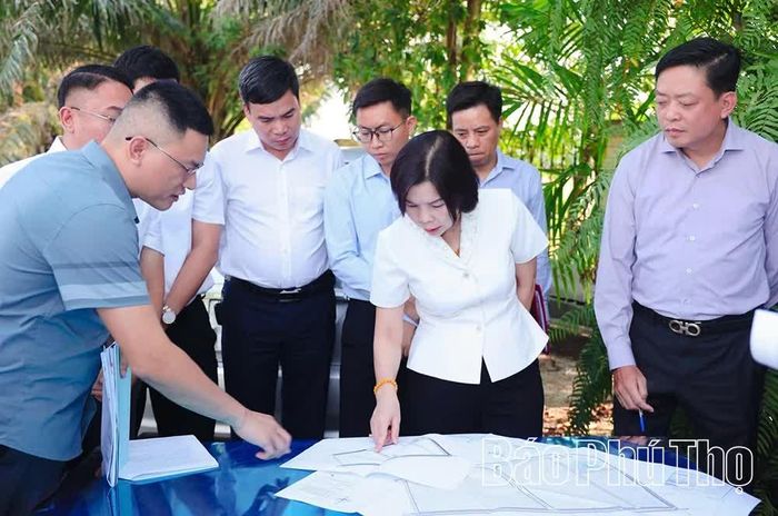 Đồng chí Phó Chủ tịch UBND tỉnh Phùng Thị Kim Nga kiểm tra tại Cụm công nghiệp Hợp Hải - Kinh Kệ, xã Phùng Nguyên.