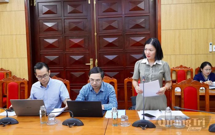 Đại biểu phát biểu tại buổi làm việc - Ảnh: H.N