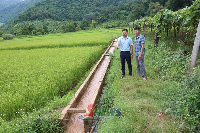 Công trình thủy lợi bản Tà Làng Cao, xã Chiềng Hặc được duy tu, bảo dưỡng đảm bảo điều tiết nước, phục vụ sản xuất nông nghiệp tại địa phương.