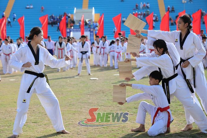 Các võ sinh biểu diễn võ thuật.