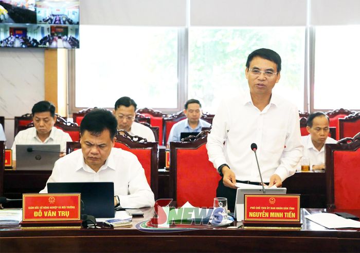 Đồng chí Phó Chủ tịch UBND tỉnh phát biểu tại phiên họp.