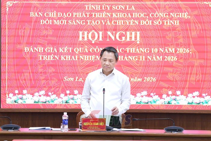 Đồng chí Nguyễn Đình Việt phát biểu tại cuộc họp.