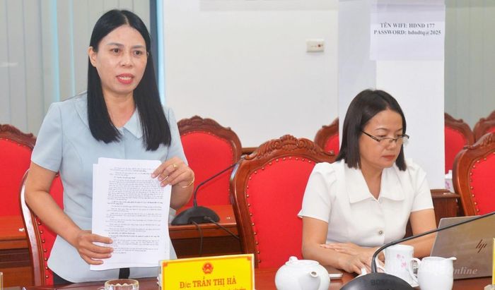 Đại diện Ban Pháp chế HĐND tỉnh phát biểu tại cuộc họp.