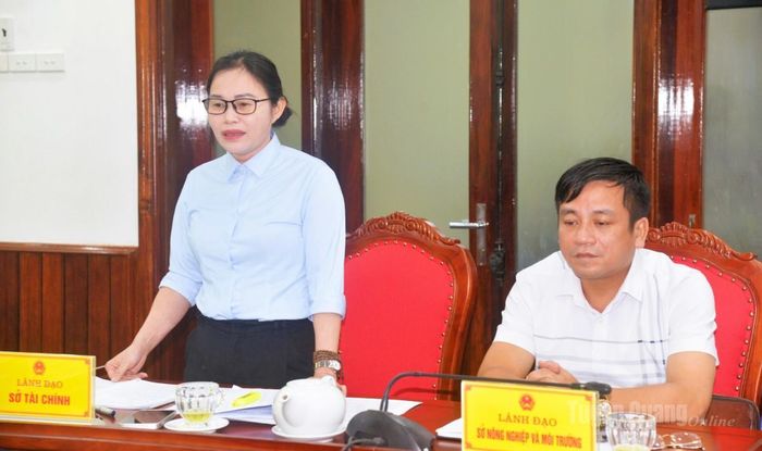 Đại diện lãnh đạo Sở Tài chính phát biểu ý kiến tại cuộc họp.