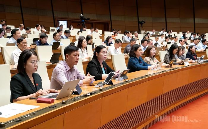 Đại biểu Tuyên Quang tại kỳ họp.
