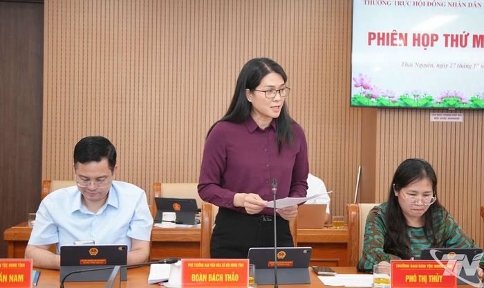 Đại biểu phát biểu tại Phiên họp.