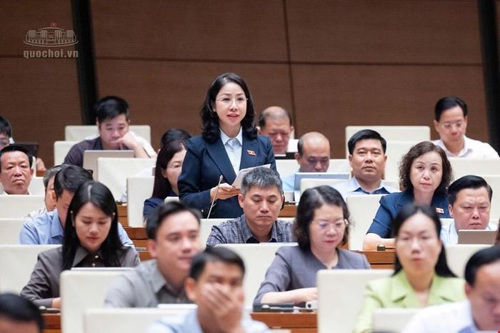 Đại biểu Phan Thị Thùy Linh (Đoàn Thanh Hóa) phát biểu. Ảnh: Media Quốc hội.