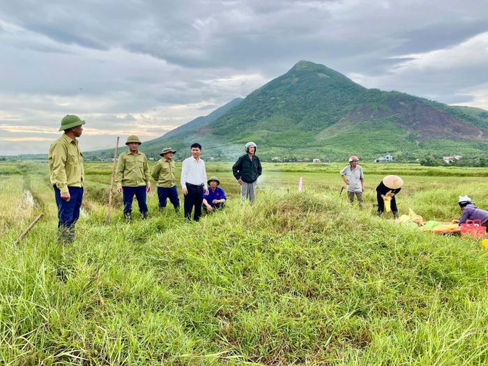 Nhiều ngôi mộ vô chủ được các địa phương ở Hà Tĩnh di dời đến nghĩa trang mới. 