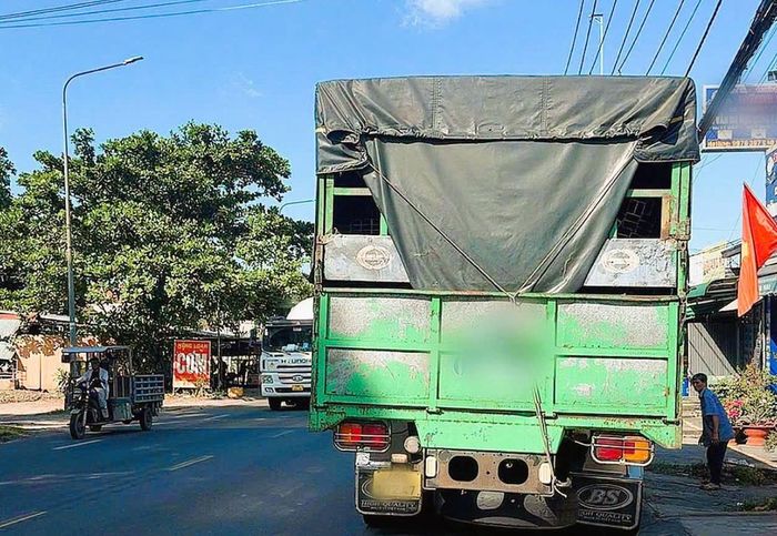 Chiếc xe tải do tài xế 72 tuổi điều khiển.