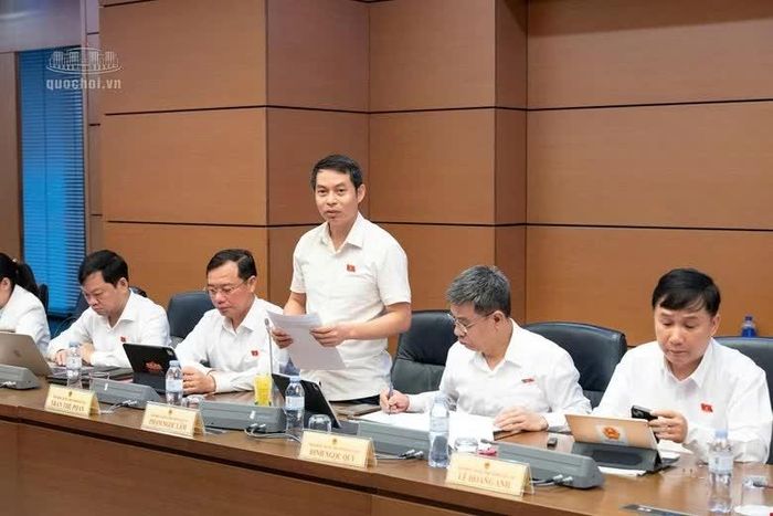 Đại biểu Phạm Ngọc Lâm (Đoàn ĐBQH tỉnh Gia Lai) đóng góp ý kiến tại phiên thảo luận.