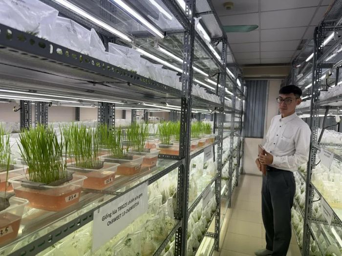 Ngành Nông nghiệp đặt mục tiêu ít nhất 60% kết quả nghiên cứu được ứng dụng. Ảnh minh họa
