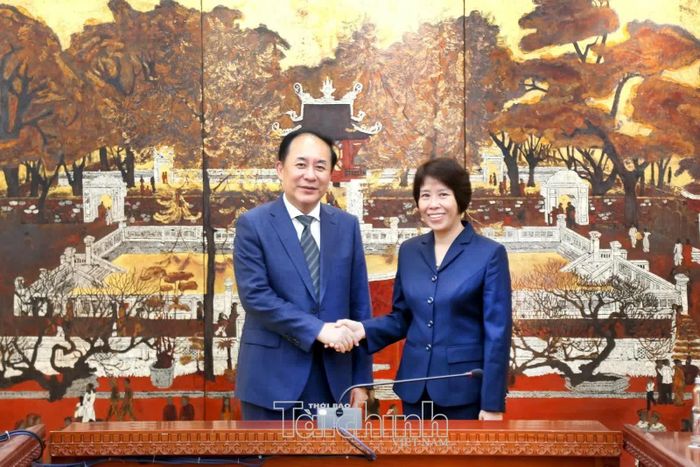Thứ trưởng Bộ Tài chính Việt Nam Nguyễn Thị Bích Ngọc tiếp với Phó Chủ nhiệm Văn phòng Nghiên cứu Quốc vụ viện Trung Quốc Phạm Tất. Ảnh: Đức Minh