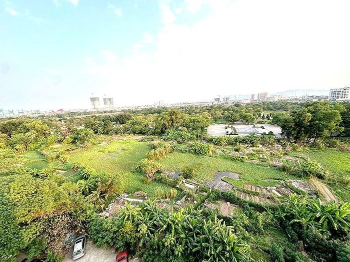 Một diện tích lớn trong khu vực từ cổng 1 tới cổng 2 Công viên vẫn trong tình trạng hoang hóa