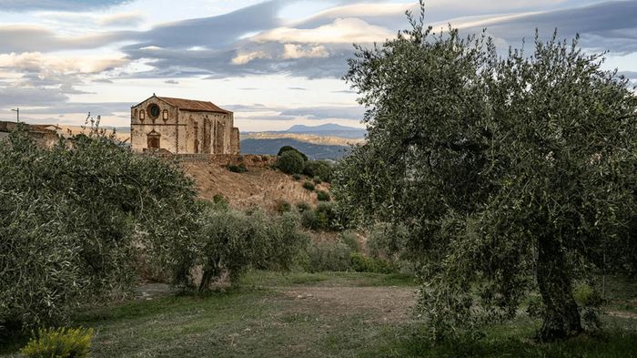 Bolotana là một ngôi làng nhỏ trên đảo Sardinia của Italy. Ảnh: Marisa Montibeller
