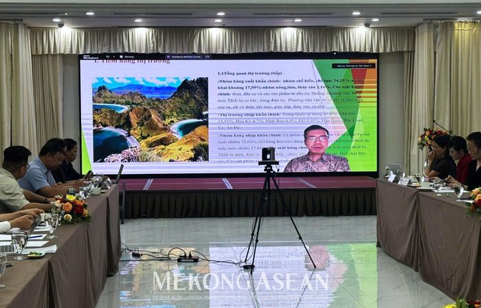 Tham tán thương mại Việt Nam tại Indonesia Phạm Thế Cường chia sẻ vấn đề cần lưu ý khi xuất khẩu hàng hóa sang ASEAN theo hình thức trực tuyến. Ảnh: Lê Hồng Nhung - Mekong ASEAN
