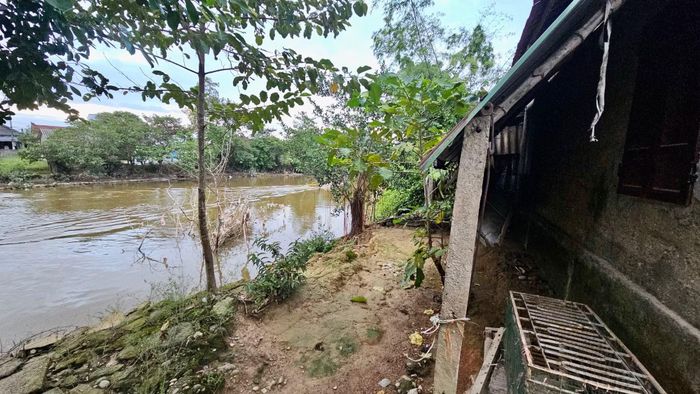 Sạt lở sông Ô Lâu ăn sâu vào nhà cửa, vườn tược của người dân.