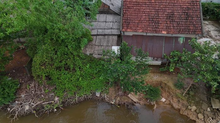 Cứ vào mùa này, nhiều người dân sống bên bờ sông Ô Lâu luôn thấp thỏm, lo sợ đất sụt xuống sông.