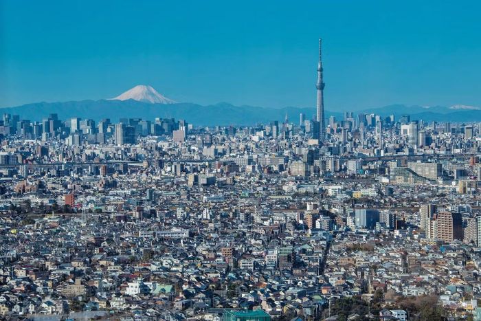 Theo Kyodo, thủ đô dự phòng sẽ đảm nhận các chức năng thiết yếu khi Tokyo không thể vận hành bình thường, đồng thời góp phần giảm tình trạng tập trung quá mức nguồn lực kinh tế và dân cư tại khu vực thủ đô.