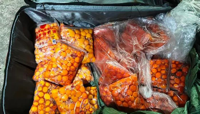 Trứng gà non nhập lậu qua biên giới Lào Cai. Ảnh: Trung Dũng