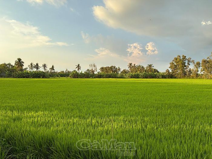 Mô hình dự kiến triển khai tại Tổ hợp tác Sản xuất – Dịch vụ du lịch sinh thái cộng đồng Bình Minh 2.