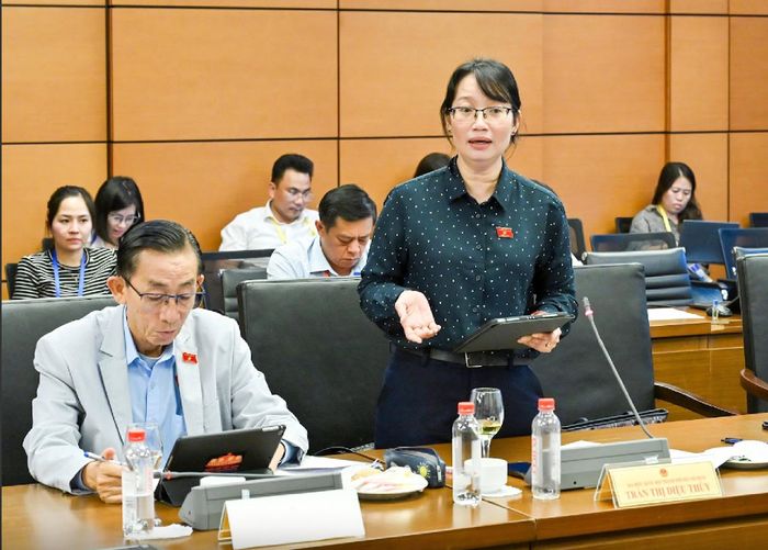Đại biểu Trần Thị Diệu Thúy phát biểu tại thảo luận Tổ