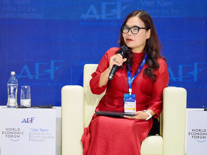 Theo bà Nguyễn Thị Hải Hằng, Việt Nam có thể phát triển kinh tế không gian tầm thấp từ những nhu cầu đã hiện hữu trong nền kinh tế.
