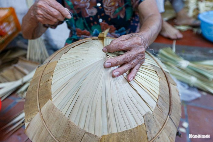 Nguyên liệu quyết định độ bền đẹp của chiếc nón lá Phú Mỹ chính là lá cọ. Người thợ làng nghề phải chọn loại lá cọ vừa tầm, không quá non nhưng cũng không được quá già cứng. Lá sau khi thu hái được xòe rộng, phơi qua 2-3 nắng đến khi chuyển màu trắng ngà, đạt độ khô và độ dẻo phù hợp để làm nón.