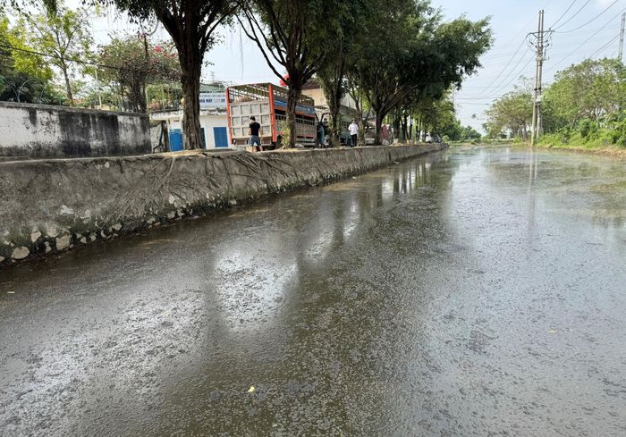 Nguyên nhân một phần nguồn nước kênh Khê Tang - đoạn từ cầu Thạch Bích đến trụ sở UBND xã Bình Minh được xác định là do hoạt động rửa xe chở lợn. Ảnh PV