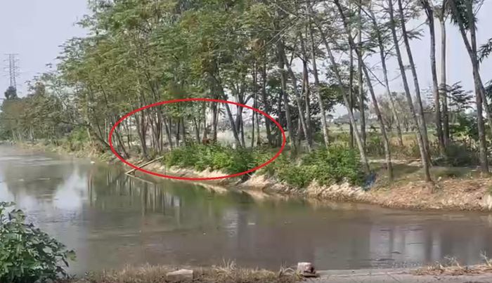 Trong khi dòng nước kênh Khê Tang có dấu hiệu bị ô nhiễm nặng, nguồn nước lại được bơm trực tiếp lên các thửa ruộng ngay sát UBND xã. Ảnh PV