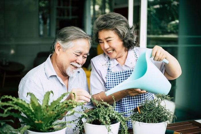 Hạnh phúc tuổi già không đòi hỏi những món quà đắt tiền hay chuyến du lịch xa hoa. Điều quan trọng hơn là hai người vẫn dành cho nhau sự quan tâm chân thành trong những việc nhỏ nhặt hằng ngày. Ảnh minh họa