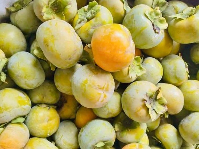Hồng Đà Lạt được nhiều người tiêu dùng ưa chuộng bởi hương vị thơm ngon, ngọt thanh.