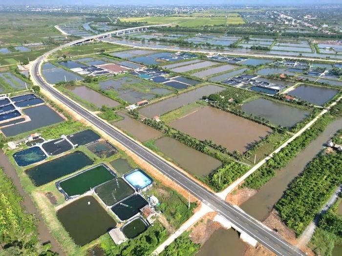 Dự kiến trong tháng 11/2026, dự án sẽ được bàn giao đưa vào sử dụng. Ảnh: Gia Hân.