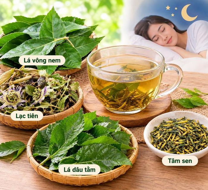 Khi phối hợp lá vông nem với các dược liệu an thần khác hiệu quả điều trị mất ngủ sẽ tăng lên đáng kể. Ảnh Ai.