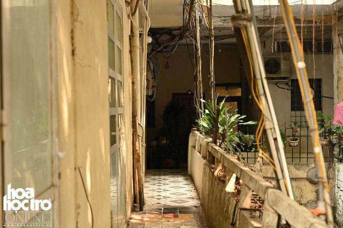 Lối vào nhỏ qua hành lang khu tập thể cũ giữa phố sách Đinh Lễ.