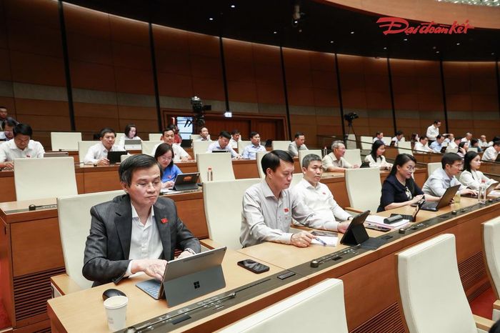 Các đại biểu tham dự phiên thảo luận (Ảnh: Quang Vinh)
