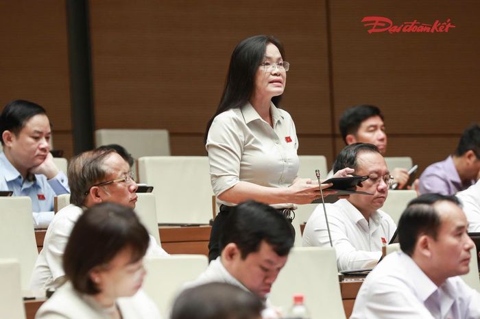 Bà Nguyễn Thị Hồng Hạnh phát biểu (Ảnh: Quang Vinh)